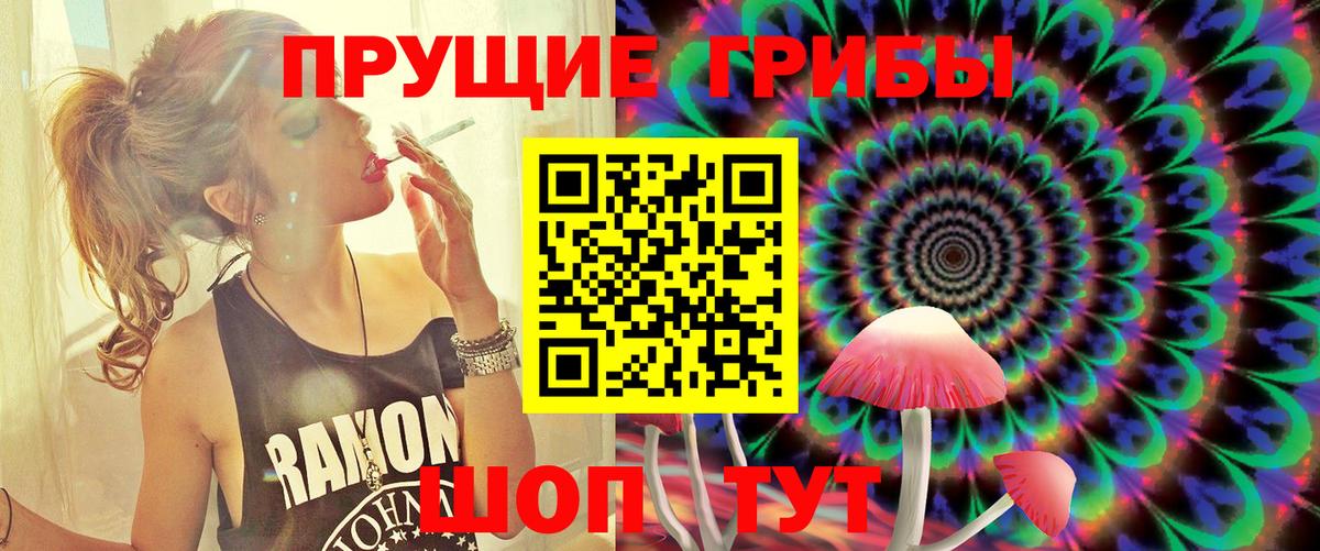 наркошоп  Вход с VPN  Петропавловск-Камчатский  Галлюциногенные грибы Cubensis 